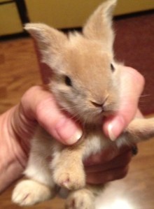 Is this cute or what? 