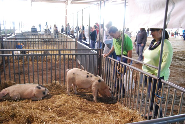 Beeman Hollow Farm photo 26