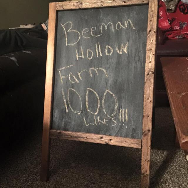 Beeman Hollow Farm photo 21